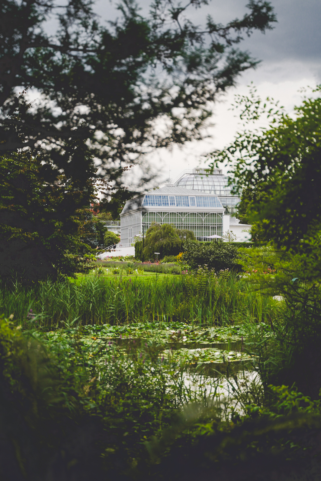 Ogród Botaniczny Uniwersytetu Jagiellońskiego, Kraków